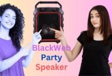 Blackweb Party Speaker