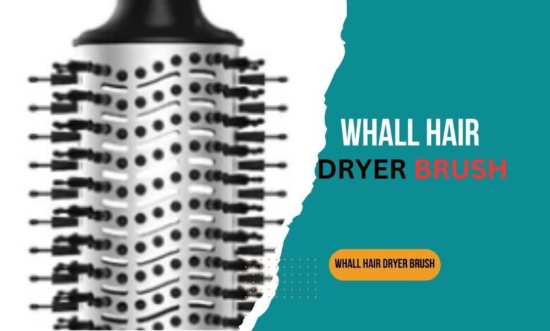 Skimi By Whall Hair Dryer Brush